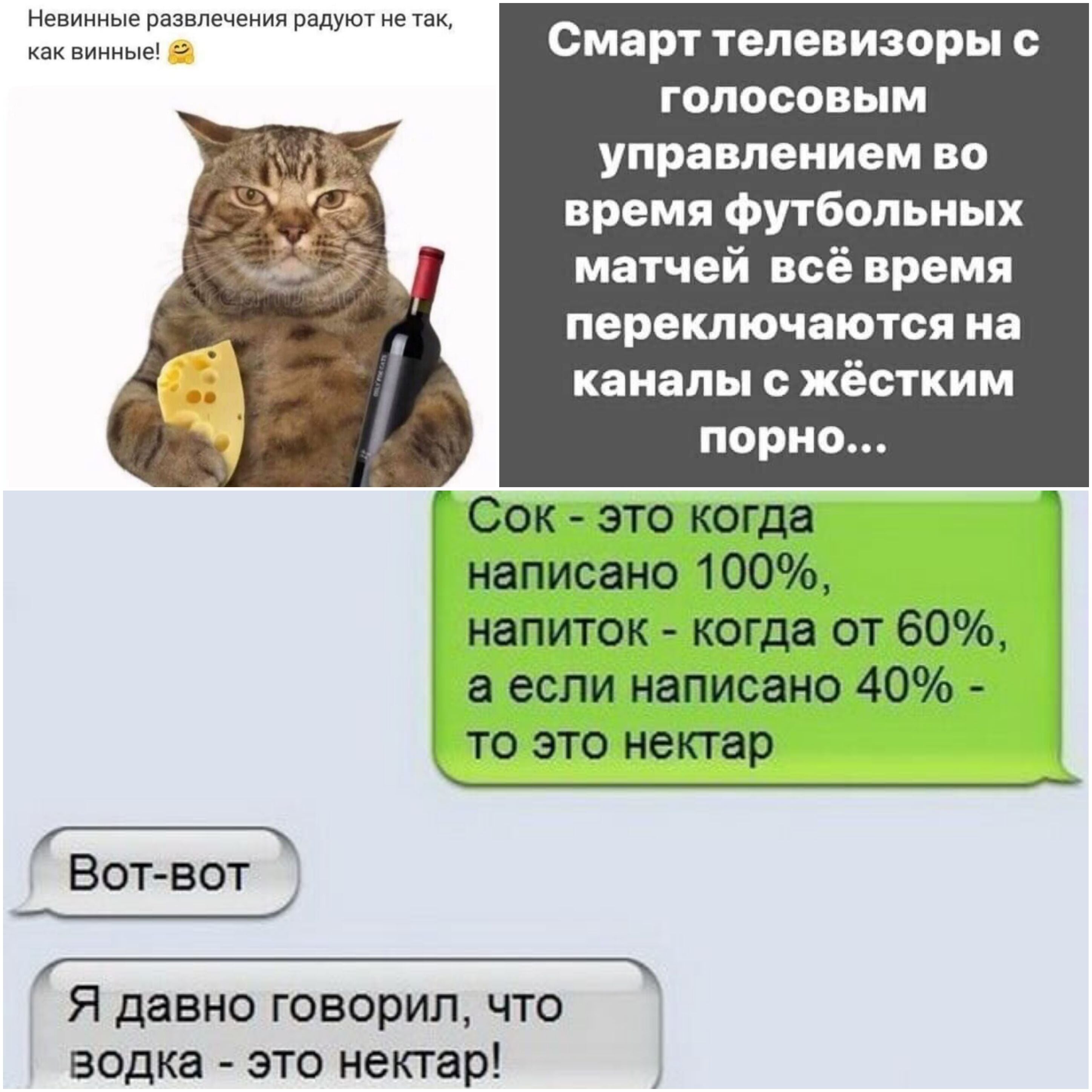 почитать #Живое пиво #коты - Killing - Sports.ru