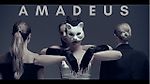 Rock Me Amadeus (Falco) - AMADEUS  Electric Quartet