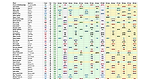 NBA Playoffs 2021-22.xlsx