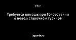 Требуется помощь при Голосовании в новом ставочном турнире