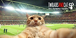 Если не я, то кот. Как Арсенал производит революцию в футболе #прямосейчас - Two Ars and Cat - Блоги - Sports.ru
