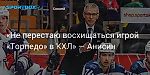 «Не перестаю восхищаться игрой «Торпедо» в КХЛ» — Анисин