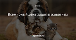 Всемирный день защиты животных