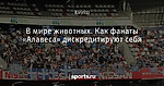 В мире животных. Как фанаты «Алавеса» дискредитируют себя