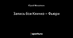 Запись боя Кличко – Фьюри
