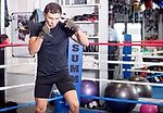 Пояс WBA не будет стоять на кону в бою Головкин - Брук