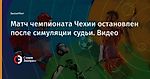 Матч чемпионата Чехии остановлен после симуляции судьи. Видео