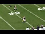 Donald Driver's one handed catch against the St. Louis Rams