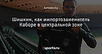 Шишкин, как импортозаменитель Каборе в центральной зоне
