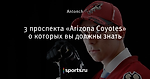 3 проспекта «Arizona Coyotes» о которых вы должны знать