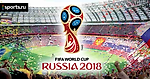 Жёлтая собака вступает в дело. Часть 2