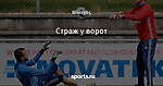 Страж у ворот
