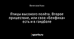 Птицы высокого полёта. Второе пришествие, или своя «Бенфика» есть и в гандболе