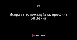 Исправьте, пожалуйста, профиль БК Зенит