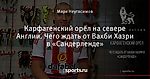 Карфагенский орёл на севере Англии. Чего ждать от Вахби Хазри в «Сандерленде»