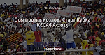 Осы против козлов. Старт Кубка КЕСАФА-2015