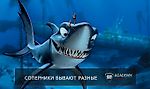 Простые правила против гиперактивной рыбы - Академия покера - Блоги - Sports.ru