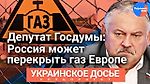 Константин Затулин: Россия может перекрыть газ Европе