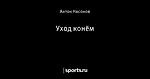 Уход конём - Взгляд из провинции - Блоги - Sports.ru
