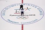 WADA сорвало тренировку сборной России по хоккею в Пхенчхане