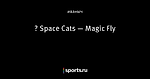 🐱 Space Cats — Magic Fly
