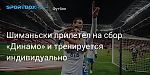 Футбол. Шиманьски прилетел на сбор «Динамо» и тренируется индивидуально