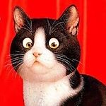 Никотинка с Бровями on Twitter