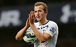 We must cut number of foreign players to find more English talent like Harry Kane, says FA chairman