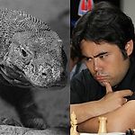 Komodo vs Humanity: Nakamura Will Give It A Go