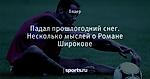 Падал прошлогодний снег. Несколько мыслей о Романе Широкове