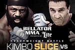 Видео. Шемрок против Слайса и другие бои Bellator 138 - Cageside