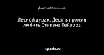 Лесной дурак. Десять причин любить Стивена Тейлора