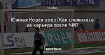 Южная Корея 2002/Как сложилась их карьера после ЧМ?