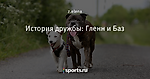 История дружбы: Гленн и Баз - Дай, Джим, на счастье лапу мне - Блоги - Sports.ru