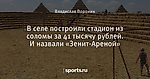 В селе построили стадион из соломы за 41 тысячу рублей. И назвали «Зенит-Ареной»