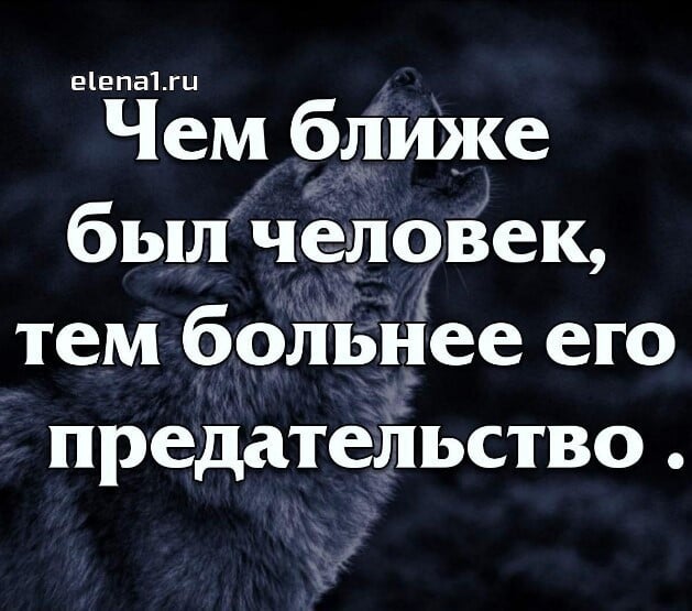 Цитаты о предательстве, статусы о предателях - Цитаты, афоризмы, высказывания, фразы, статусы ВК