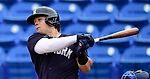 Yankees’ Voit Out for First Month of Season With Knee Injury