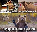 Предсказатели ЧМ и другие лучшие мемы дня - X mem - Блоги - Sports.ru