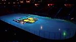 Halifax Mooseheads 3D hockey rink display