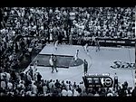 Hedo Turkoglu Where Will Amazing Happen