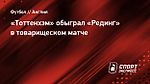 «Тоттенхэм» обыграл «Рединг» в товарищеском матче