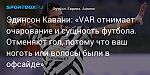 Футбол. Эдинсон Кавани: «VAR отнимает очарование и сущность футбола. Отменяют гол, потому что ваш ноготь или волосы были в офсайде»