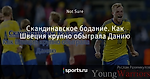 Скандинавское бодание. Как Швеция крупно обыграла Данию - Young Warriors - Блоги - Sports.ru