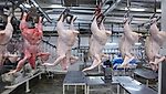 Россельхознадзор ограничит транзит через Россию в Казахстан мяса птицы из США