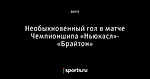 Необыкновенный гол в матче Чемпионшипа «Ньюкасл»- «Брайтон»