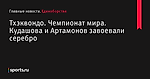 Кудашова и Артамонов завоевали серебро, Тхэквондо, Чемпионат мира - Единоборства - Sports.ru