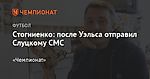 Стогниенко: после Уэльса отправил Слуцкому СМС