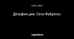 Дельфин дня. Сеск Фабрегас - Угловой Удар - Блоги - Sports.ru