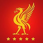 Liverpool News on Twitter