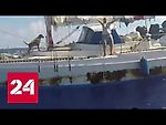 ВМС США спасли двух женщин и двух собак, дрейфовавших 5 месяцев на яхте в океане - Россия 24